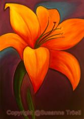 orchidee-70x100x45