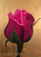 rose-rosa-gold-80x60
