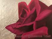 rose-rot-silber-1-80x60